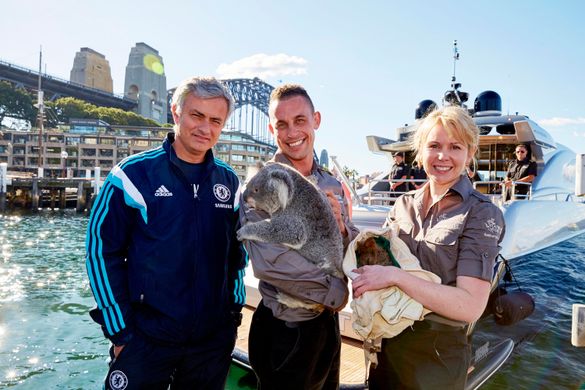 Chelsea FC Manager Jose Mourinho meets a Koala and Quokka on Sydney Harbour