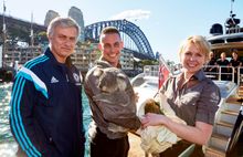 Chelsea FC  Manager Jose Mourinho meets a Koala and Quokka on Sydney Harbour_01