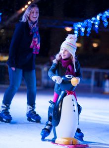 Go skating on an open air ice skating rink during Skate in the City.