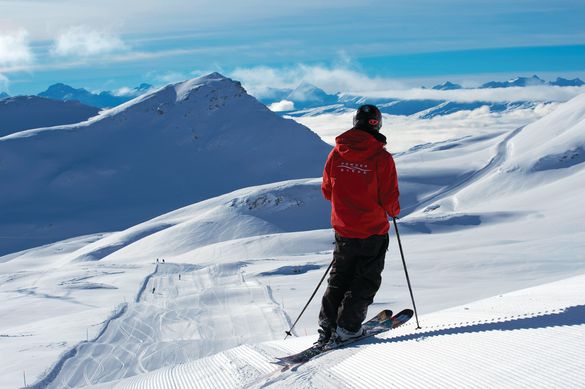 Powder Byrne Original Skiing
