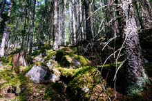 New holiday: Stockholm & Escape - Stilleben in Åmot