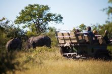 Game viewing at Lodge