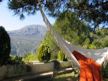 Enjoy The Peace And Quiet Of This Natural Environment