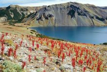 Kamchatka, Russia