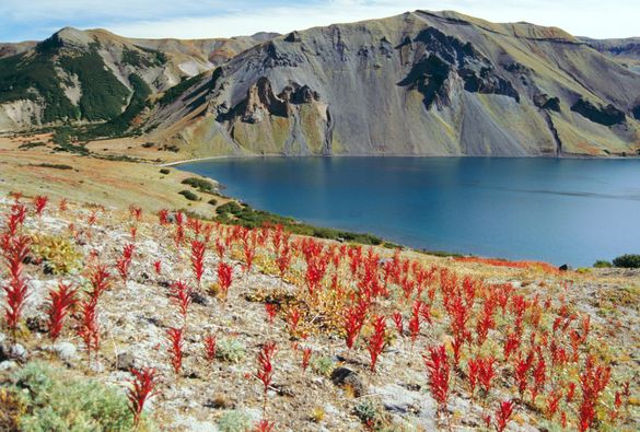 Kamchatka, Russia