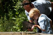 Pond dipping fun at a WWT Wetland Centre
