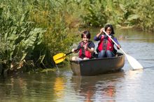 Canoe safari at a WWT Wetland Centre