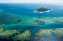 Outrigger Resorts pleedges to plant and grow a football field worth of coral in the Pacific, Southeast Asia and Indian Oceans