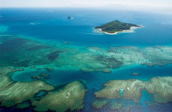 Outrigger Resorts pleedges to plant and grow a football field worth of coral in the Pacific, Southeast Asia and Indian Oceans