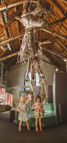 Australian Fossil and Mineral Museum in Bathurst