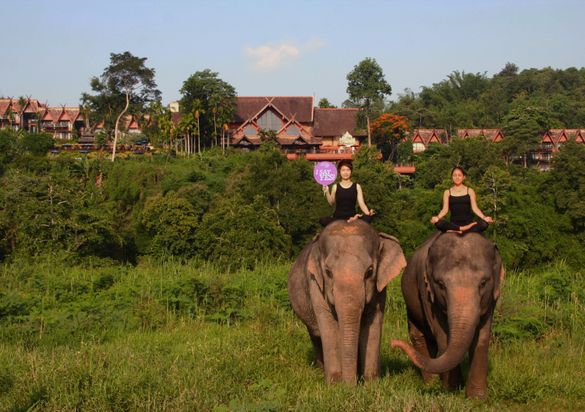 Anantara Golden Triangle Elephant Camp & Resort