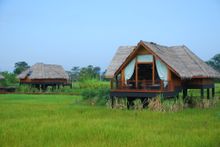 Jetwing Vil Uyana