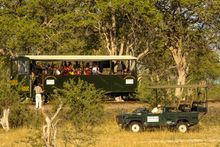 The Elephant Express in Hwange