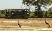 The Elephant Express, Hwange