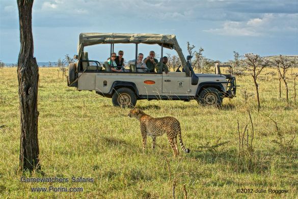 Porini Lion Camp, Olare Motorgori Conservancy, Masai Mara, Kenya