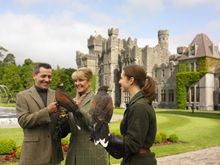 Guests with Harris hawks at Ashford Castle in County Mayo