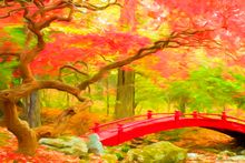 Japan with Peter Walton - Composition photography effects