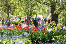 Floriade - Australia's celebration of spring