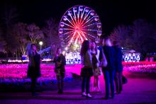 Floriade NightFest