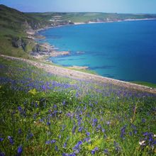 Devon, Far Side of Wessex