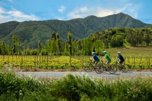 Biking Wine Country Chile