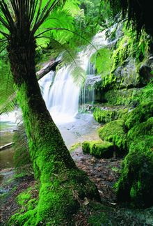 Liffey Falls Tasmania