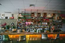 The Standard Bar and Kitchen, Northbridge