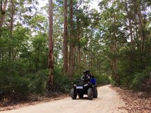Eco Adventures Margaret River