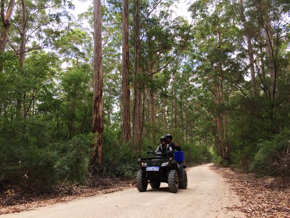 Eco Adventures Margaret River