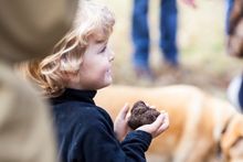 The Truffle Festival Canberra Region