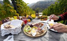 Break in the vineyards 