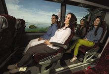 Business Class legroom on an Insight Vacations coach