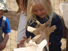 Ranch wildlife, Red Horse Mountain Guest Ranch, Idaho