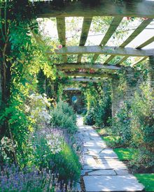 Hestercombe - The Pergola