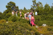 Skyros Island Walks