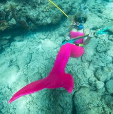 Samantha Langsdale, costumed as a mermaid, pretends to play a mock musical instrument at the Lower Keys Underwater Music Festiva