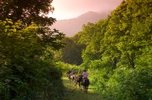PURE at Niseko Village - Horseback Riding