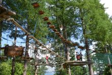 PURE at Niseko Village - Tree Trekking