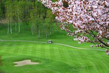 Niseko Golf Course