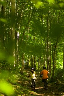 Niseko Village - Cycling