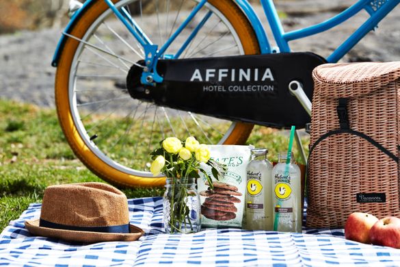 Affinia's Summer Picnic in Central Park 