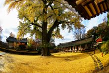 Autumn in Jeonju