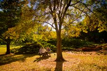 Adelaide Hills