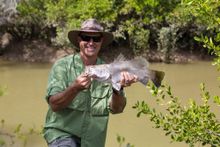 Million Dollar Fish Ambassador_Matthew Hayden