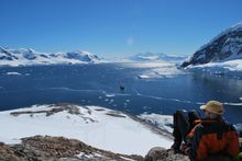 Looking out at Polar Pioneer in Neko Harbour, Antarctic Peninsula