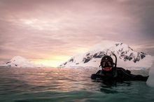 Snorkelling in Antarctica