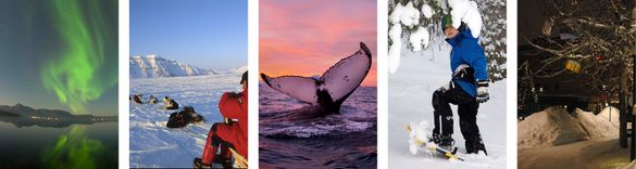 Book now for Simply Sweden's winter adventures