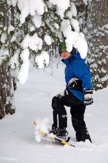 February 2016 half term holiday: Family Activity Holiday