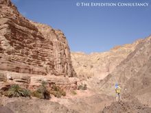 Secret Compass to cross the Sinai desert