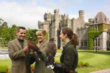 Falconry at Ashford Castle